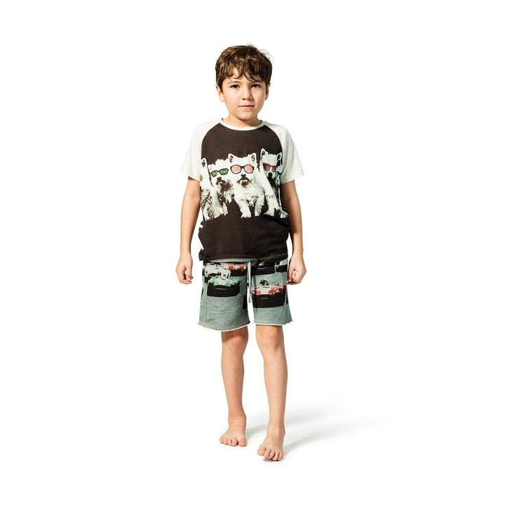 Multicolor Raglan Line Up Tee