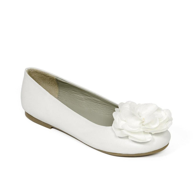Camelia