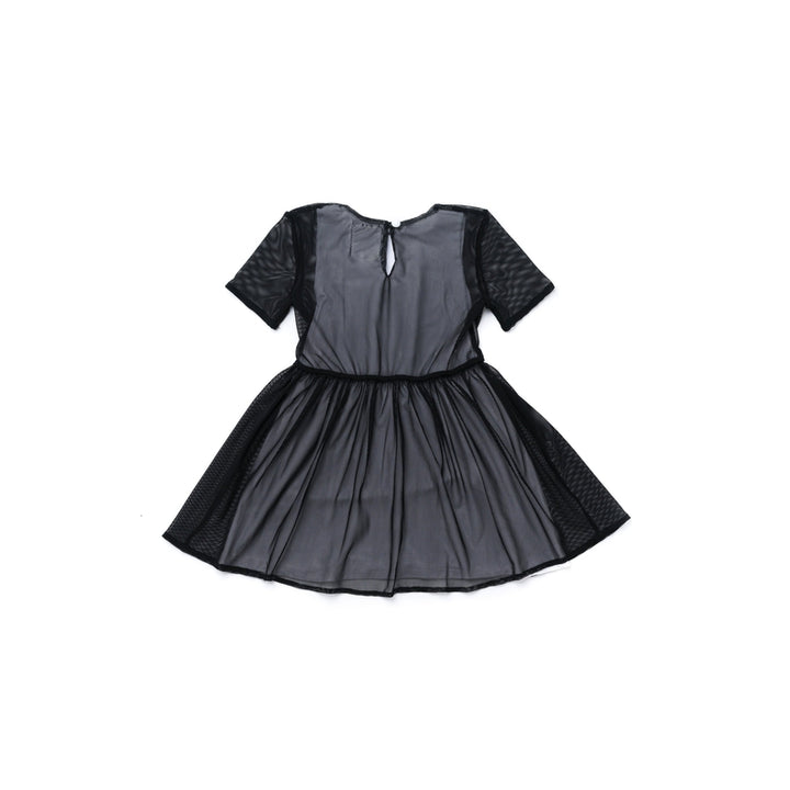 Fit And Flare Mesh Dress