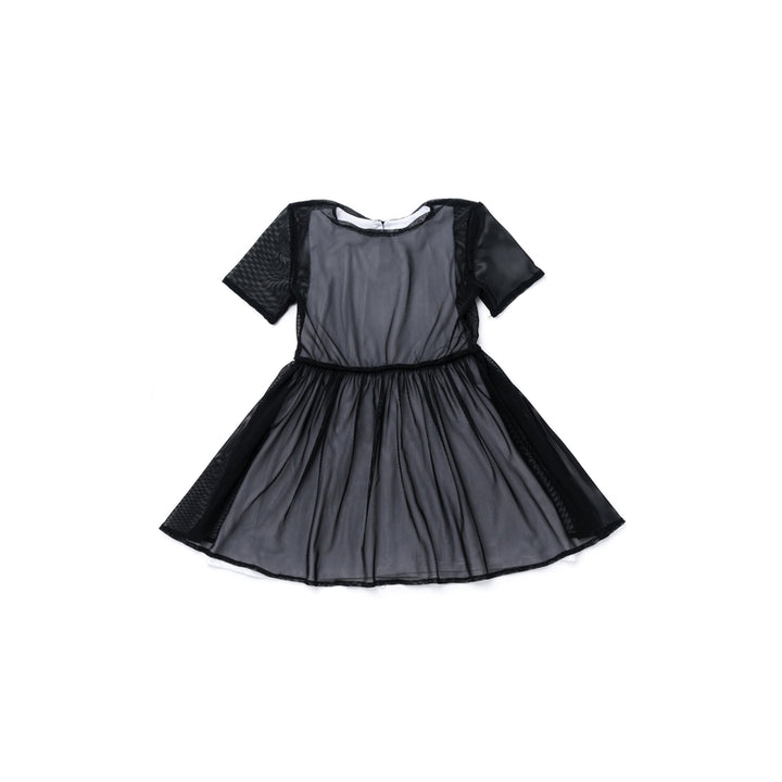 Fit And Flare Mesh Dress