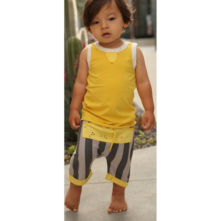 Striped Cole Surfing Cowboy Shorts