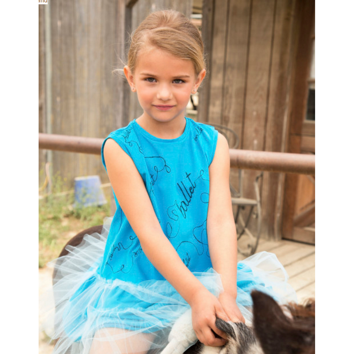 Blue Ballet Tulle Dress