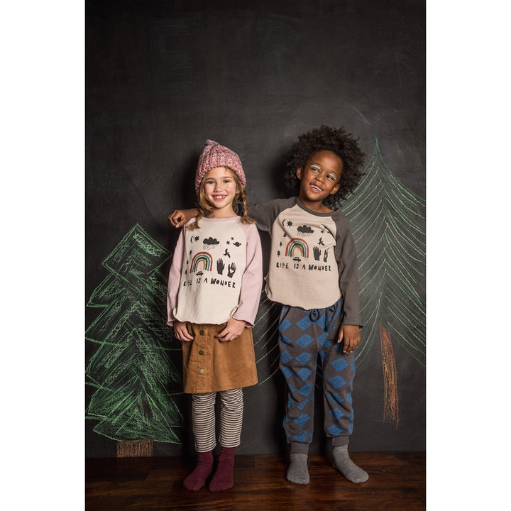 Charcoal Rainbow Raglan Tee