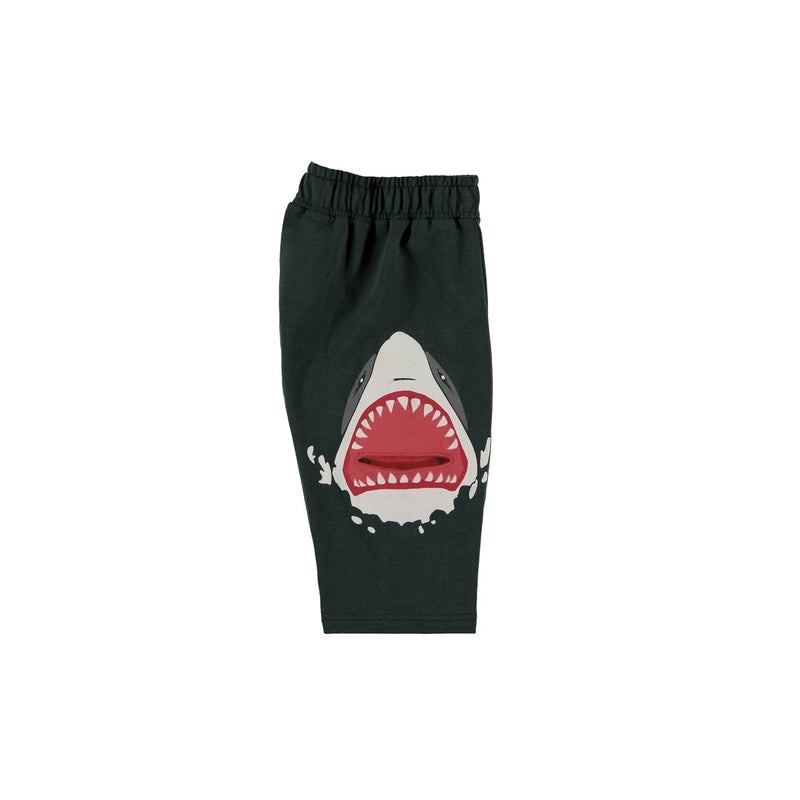 Shark Shorts