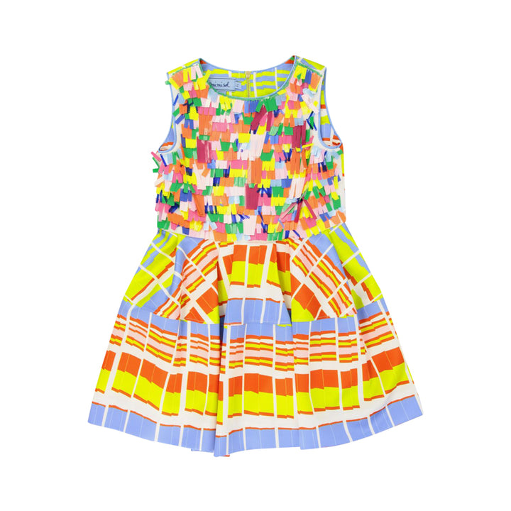 Multicolor Fringe Dress